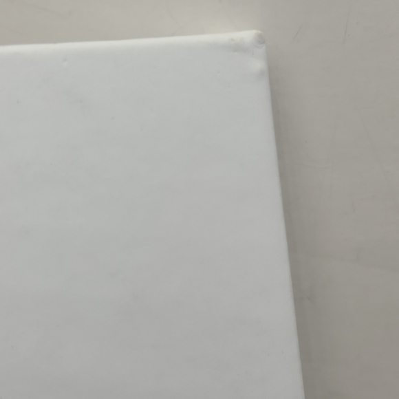 Havaianas Notebook / Journal - Picture 7 of 11